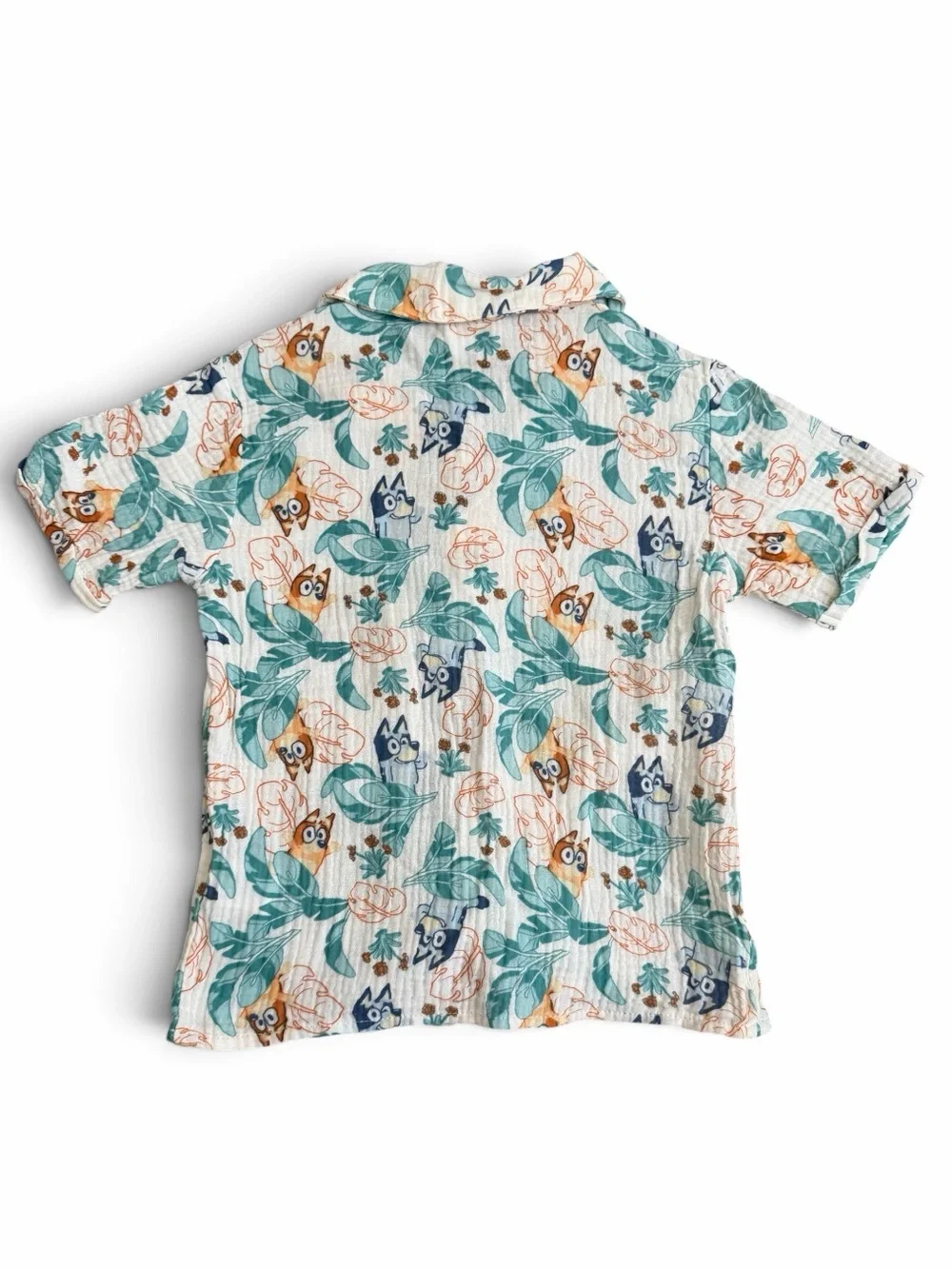 Bluey adorable matching
